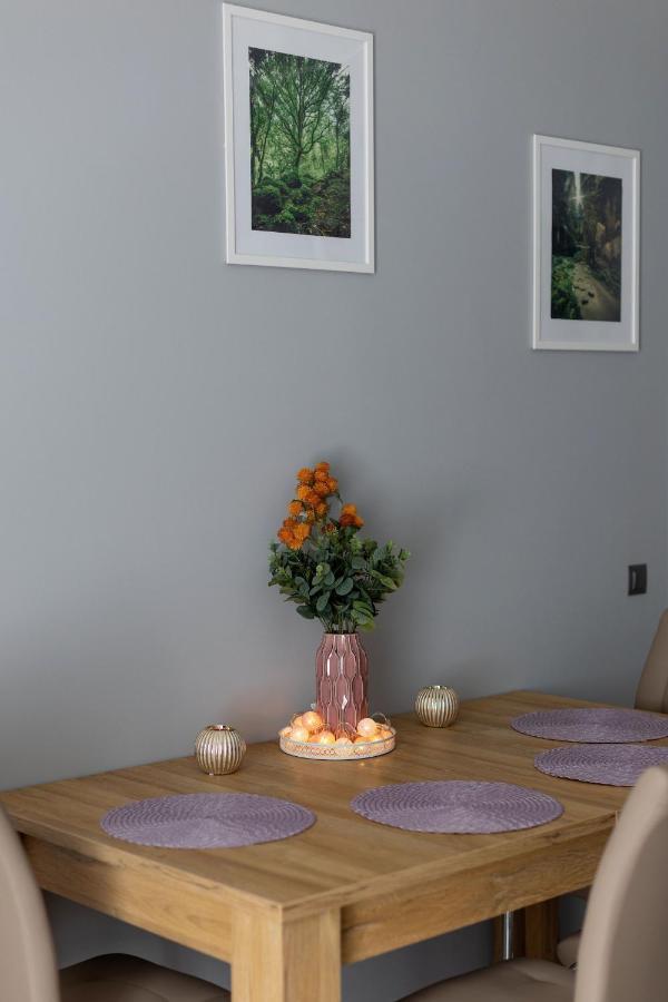 Apartament Silver ดุสนิกิ สดรอย ภายนอก รูปภาพ
